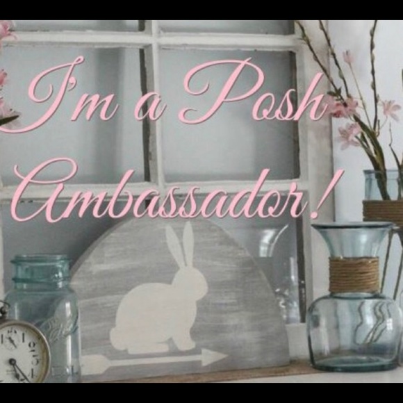 Posh Ambassador - Picture 1 of 1